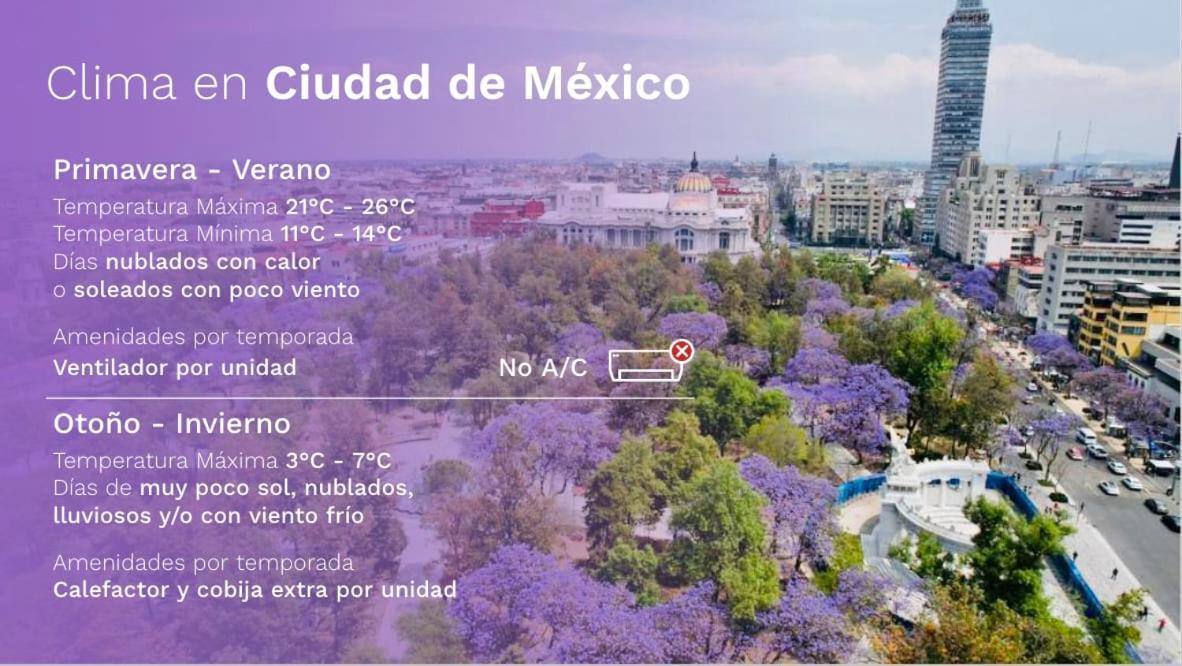 Casai Luxury & Designer In The Location! Mexico City